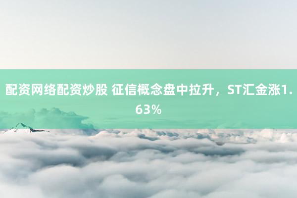 配资网络配资炒股 征信概念盘中拉升，ST汇金涨1.63%