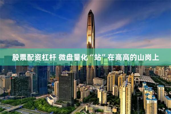股票配资杠杆 微盘量化“站”在高高的山岗上