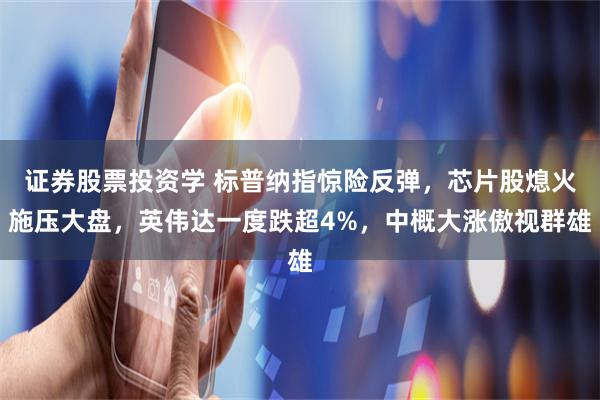 证券股票投资学 标普纳指惊险反弹，芯片股熄火施压大盘，英伟达一度跌超4%，中概大涨傲视群雄