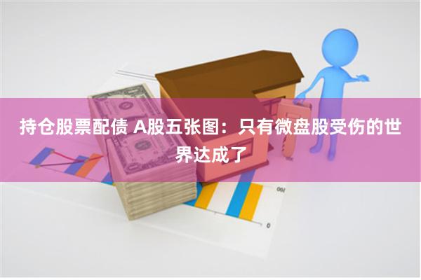 持仓股票配债 A股五张图：只有微盘股受伤的世界达成了