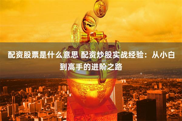 配资股票是什么意思 配资炒股实战经验：从小白到高手的进阶之路