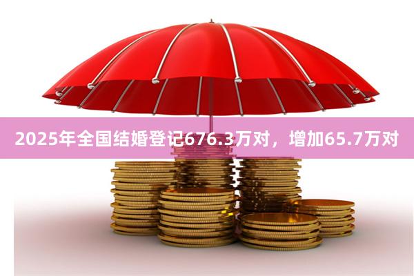 2025年全国结婚登记676.3万对，增加65.7万对