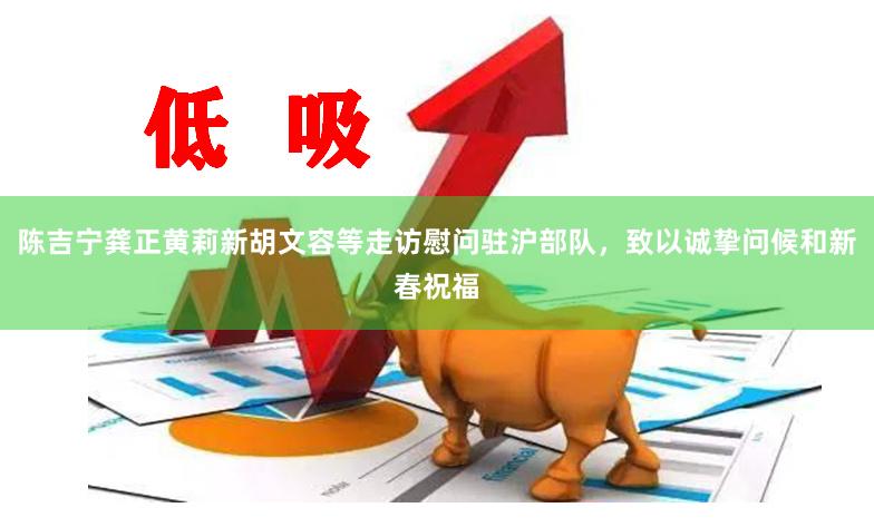陈吉宁龚正黄莉新胡文容等走访慰问驻沪部队，致以诚挚问候和新春祝福