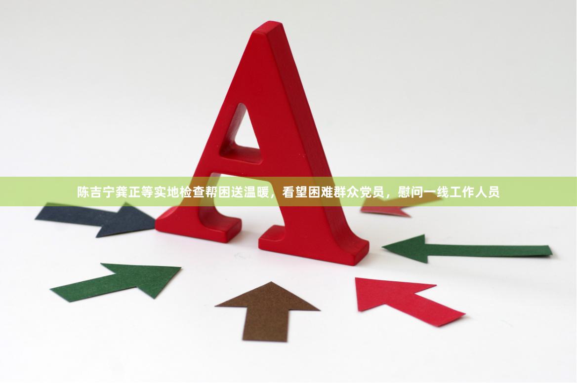陈吉宁龚正等实地检查帮困送温暖，看望困难群众党员，慰问一线工作人员