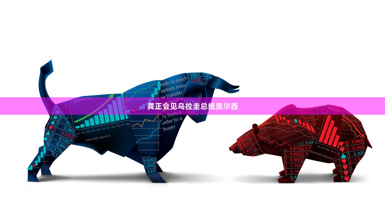 龚正会见乌拉圭总统奥尔西