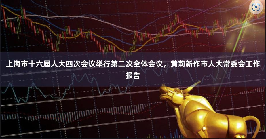 上海市十六届人大四次会议举行第二次全体会议，黄莉新作市人大常委会工作报告