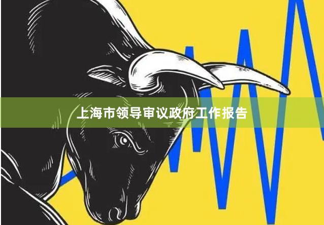 上海市领导审议政府工作报告