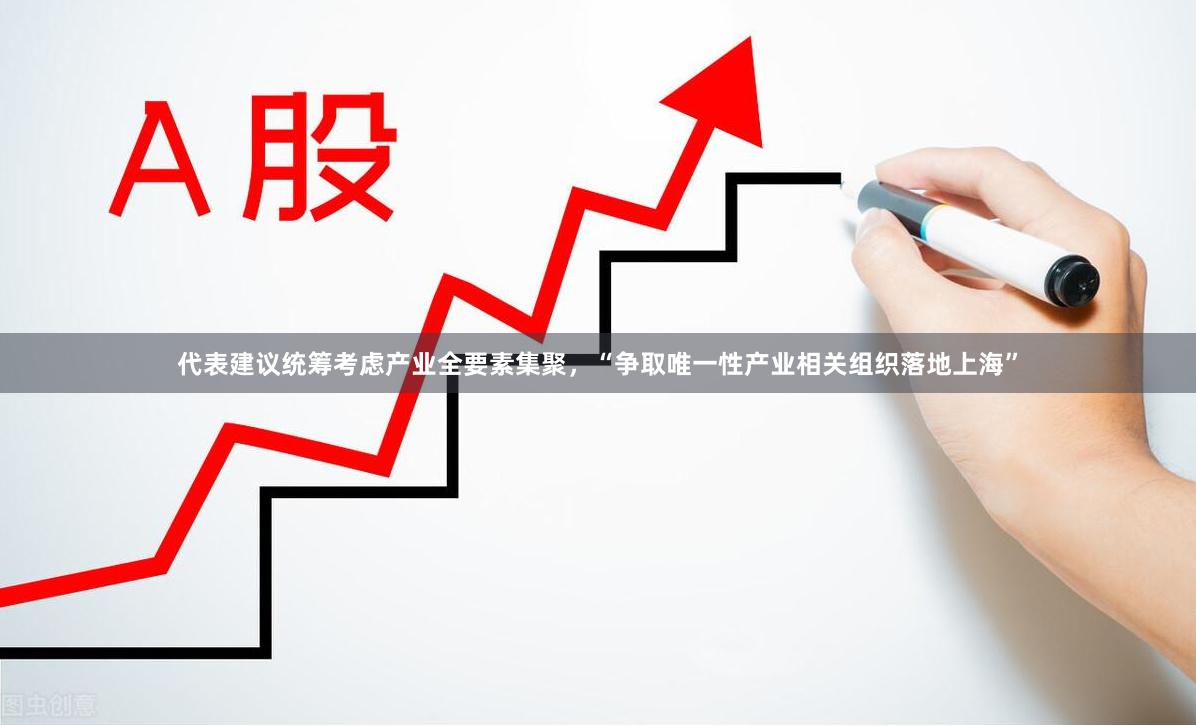 代表建议统筹考虑产业全要素集聚，“争取唯一性产业相关组织落地上海”