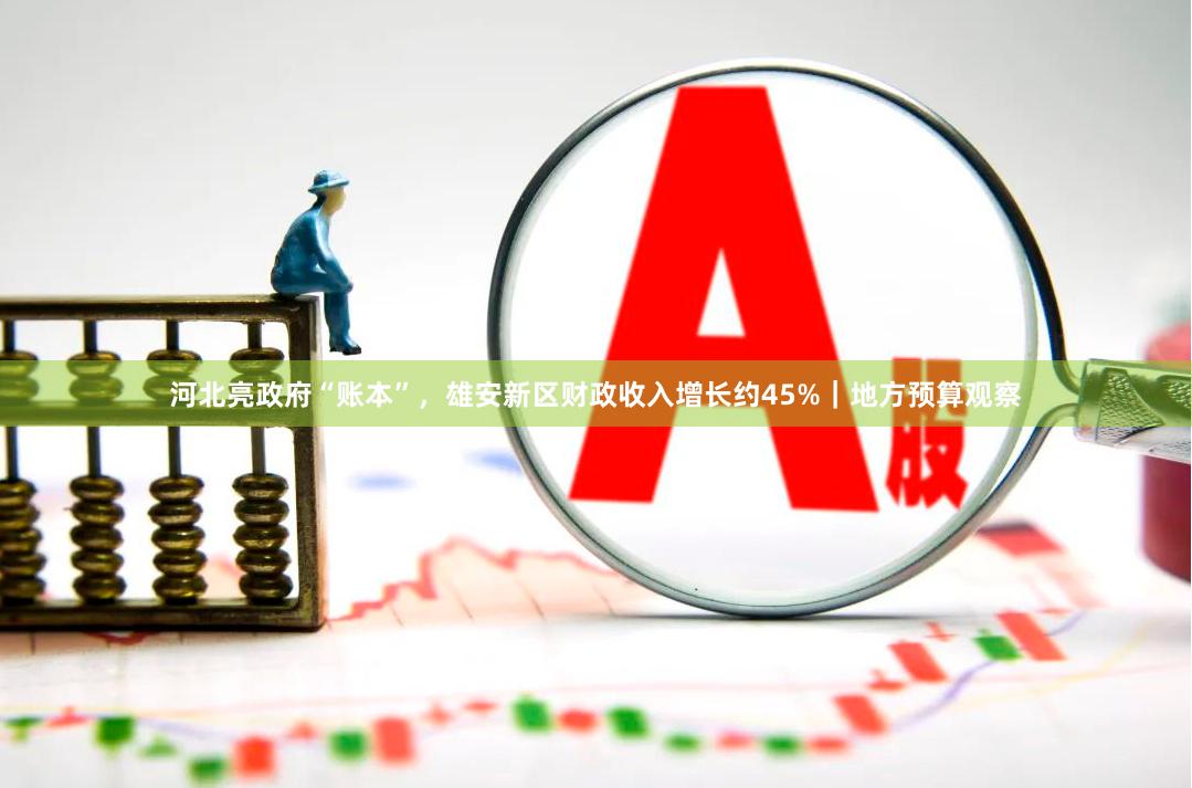 河北亮政府“账本”，雄安新区财政收入增长约45%｜地方预算观察