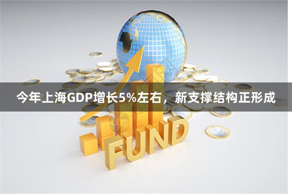 今年上海GDP增长5%左右，新支撑结构正形成