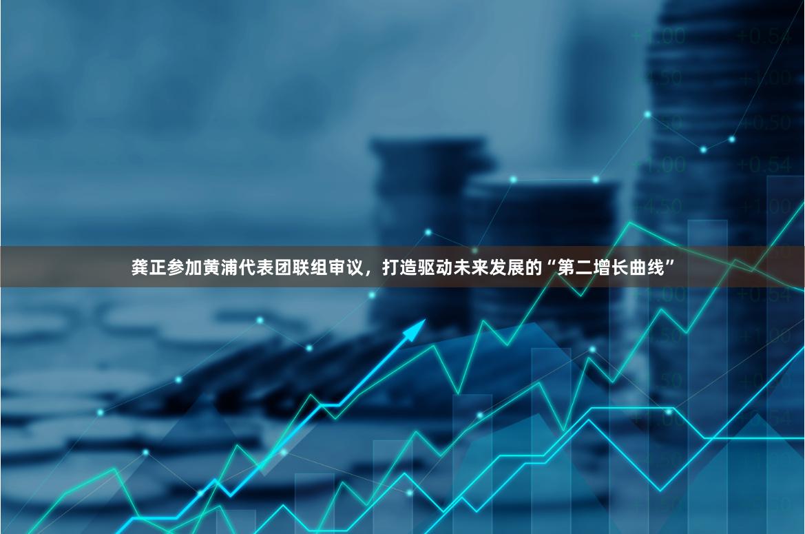 龚正参加黄浦代表团联组审议，打造驱动未来发展的“第二增长曲线”