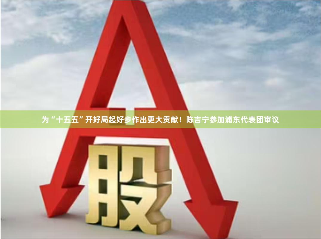 为“十五五”开好局起好步作出更大贡献！陈吉宁参加浦东代表团审议