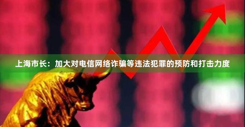 上海市长：加大对电信网络诈骗等违法犯罪的预防和打击力度