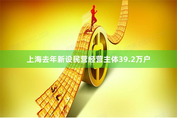 上海去年新设民营经营主体39.2万户