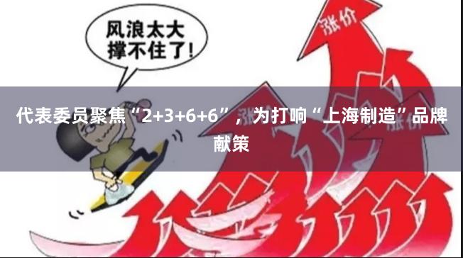 代表委员聚焦“2+3+6+6”，为打响“上海制造”品牌献策