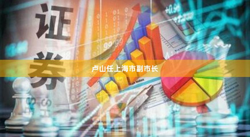卢山任上海市副市长