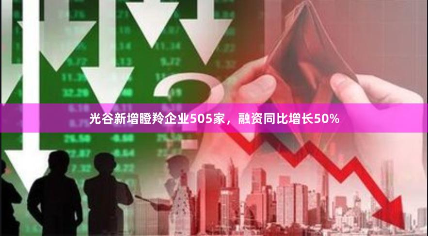 光谷新增瞪羚企业505家，融资同比增长50%