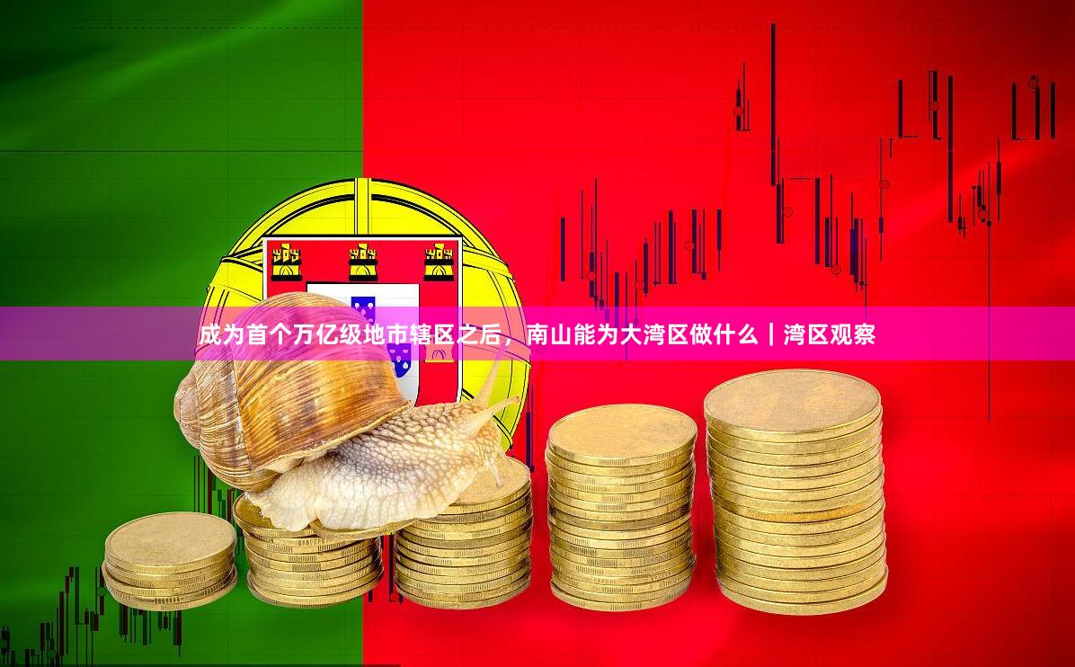 成为首个万亿级地市辖区之后，南山能为大湾区做什么｜湾区观察