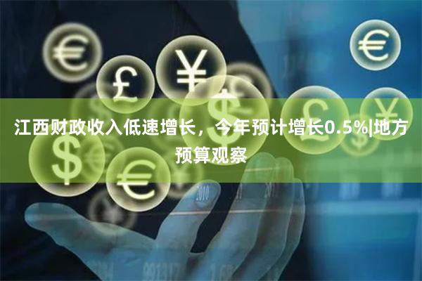 江西财政收入低速增长，今年预计增长0.5%|地方预算观察