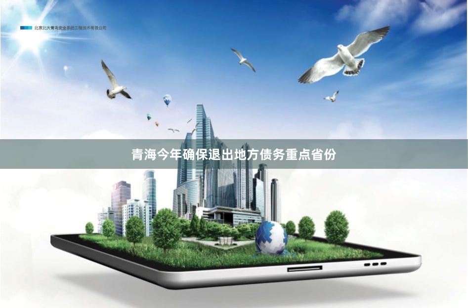 青海今年确保退出地方债务重点省份